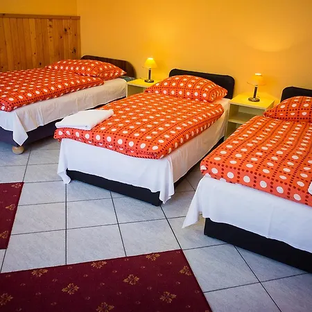 Civis Szallashely 3* Ντέμπρετσεν